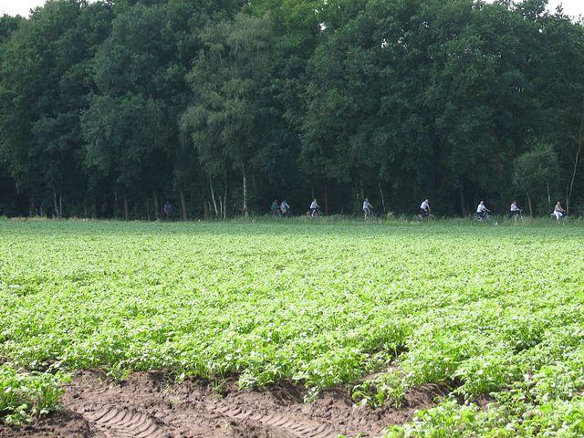 Fietstocht Achel 2008 06 01 059
