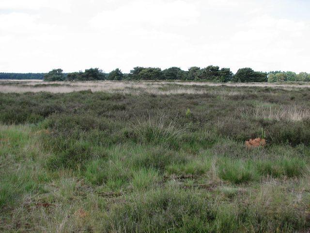 Fietstocht Achel 2008 06 01 063