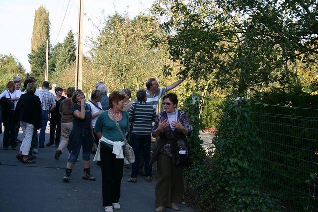 Herfstwandeling 2 2008 10 12 24
