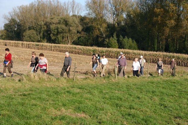 Herfstwandeling 2 2008 10 12 28