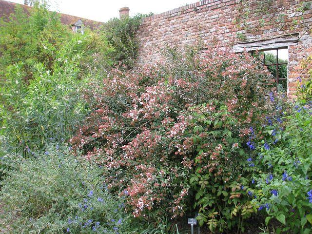 Weekendreis Kent 2 2009 10 03-04 104
