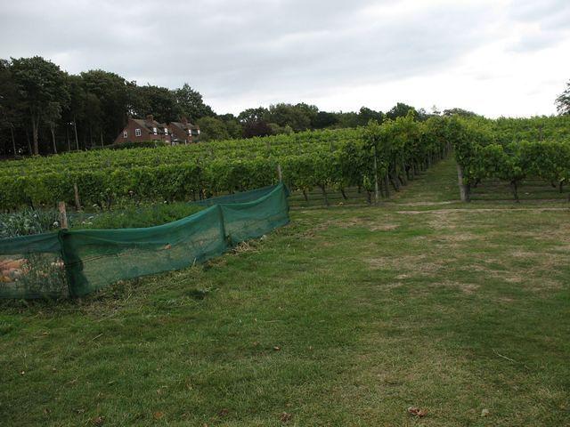Weekendreis Kent 3 2009 10 03-04 053