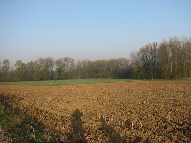 Dauwtrip 1 2010 04 18 17