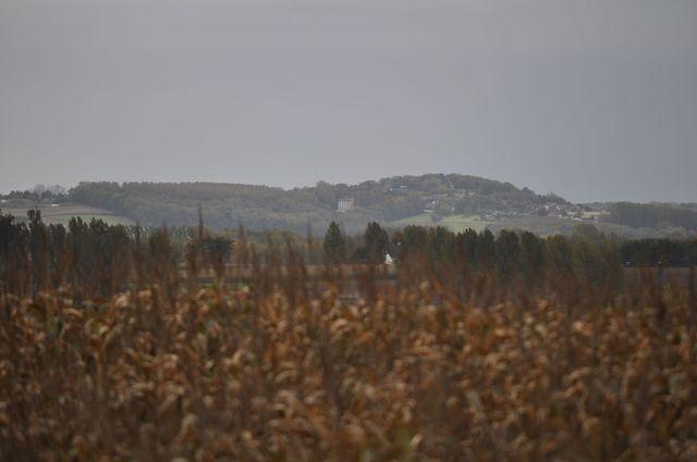 Herfstwandeling 2010 10 24 12