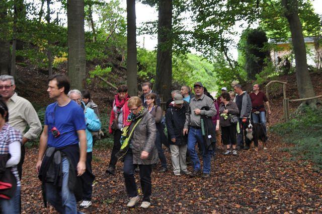 Herfstwandeling 2013 10 20 17