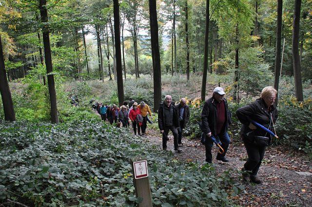 Herfstwandeling 2013 10 20 20