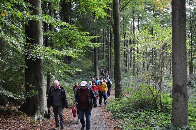 Herfstwandeling 2013 10 20 22