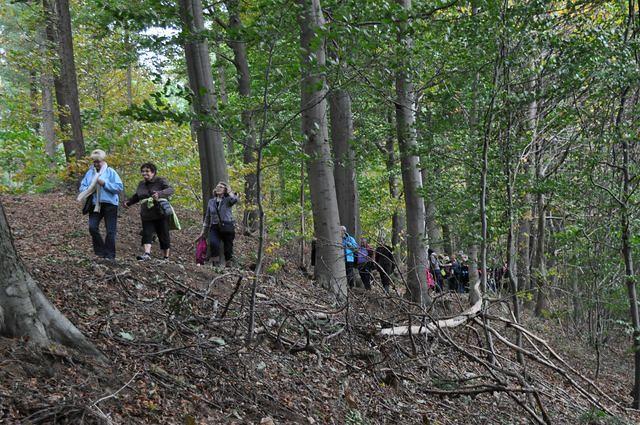 Herfstwandeling 2013 10 20 37