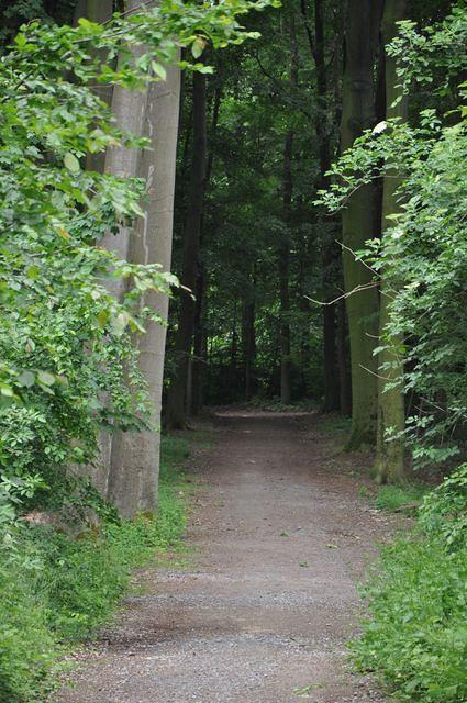 Dusseldorf #2 2015 05 30-31 231