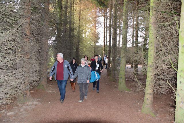 Herfstwandeling 2015 10 25 40