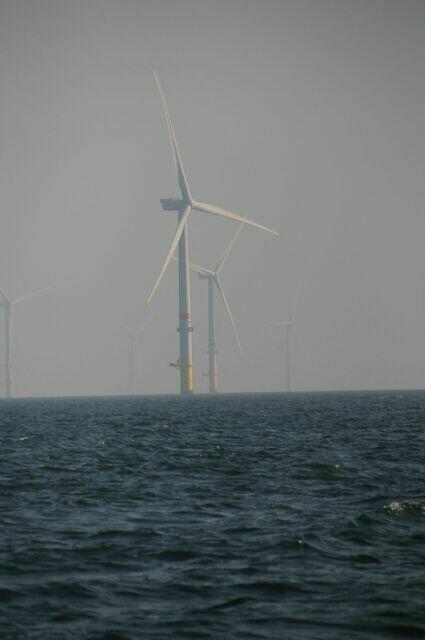 Windmolenpark 2021 09 26 #2 133