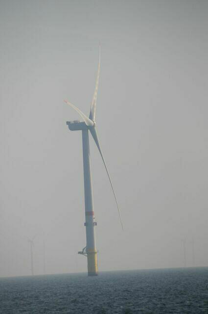 Windmolenpark 2021 09 26 #2 140