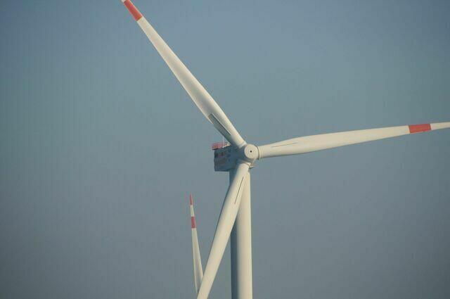 Windmolenpark 2021 09 26 #2 145