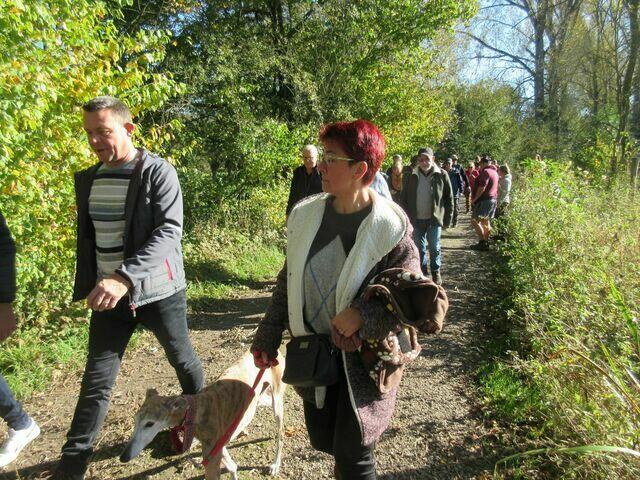 Herfstwandeling #1 2021 10 24 17