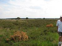 Fietstocht Achel 2008 06 01 070
