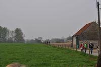 Dauwtrip 41
