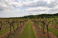 Weekendreis Luc 2013 06 02 083