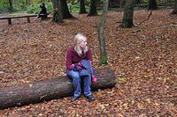 Herfstwandeling 2013 10 20 31