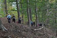 Herfstwandeling 2013 10 20 37