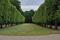 Dusseldorf #2 2015 05 30-31 225
