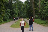 Dusseldorf #2 2015 05 30-31 227