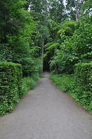 Dusseldorf #2 2015 05 30-31 230