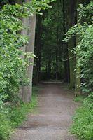 Dusseldorf #2 2015 05 30-31 231