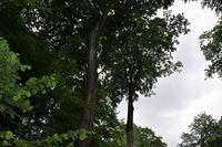 Dusseldorf #2 2015 05 30-31 238
